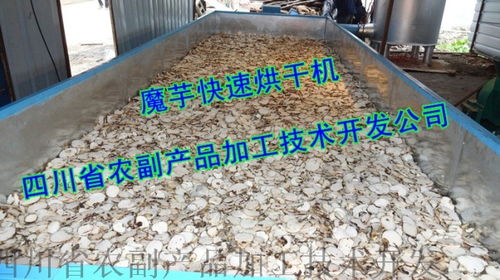 魔芋精粉生产设备 农副产品加工的关键技术