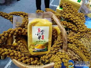 高清图美翻了！果蔬会上奇瓜异果引爆眼球，农副产品焕发新光彩