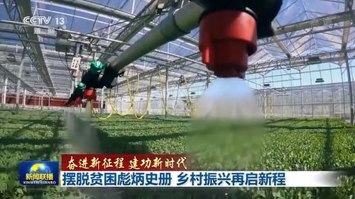 联播丨摆脱贫困彪炳史册 乡村振兴再启新程 农副产品