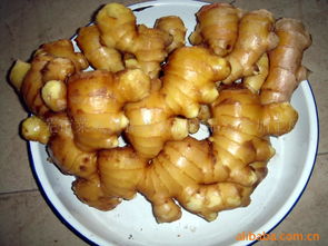 莱芜市莱城区振兴农副产品综合加工厂 推动农副产品精深加工，助力乡村振兴