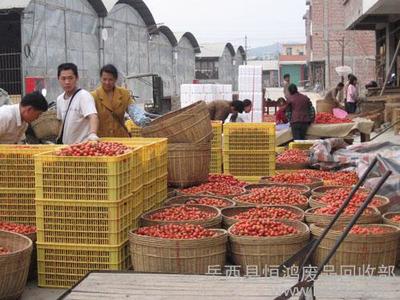 供应恒鸿优质农副产品批发——岳西县恒鸿废品回收部农副产品业务介绍