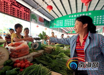 海南将建立东西部蔬菜交易市场，减免市场摊位费助力农副产品流通